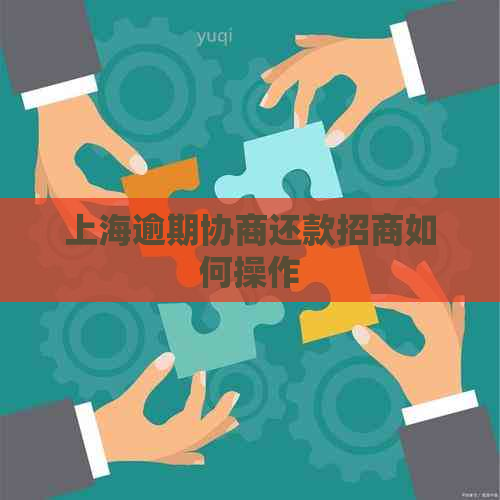 上海逾期协商还款招商如何操作