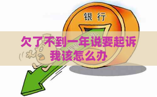 欠了不到一年说要起诉我该怎么办