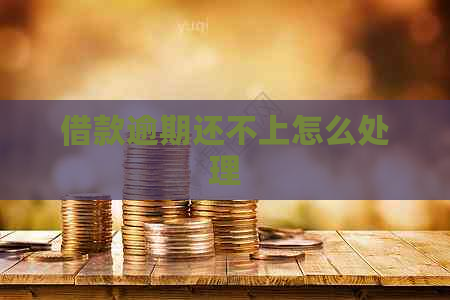 借款逾期还不上怎么处理