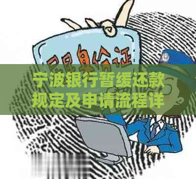 宁波银行暂缓还款规定及申请流程详解