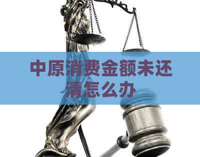 中原消费金额未还清怎么办