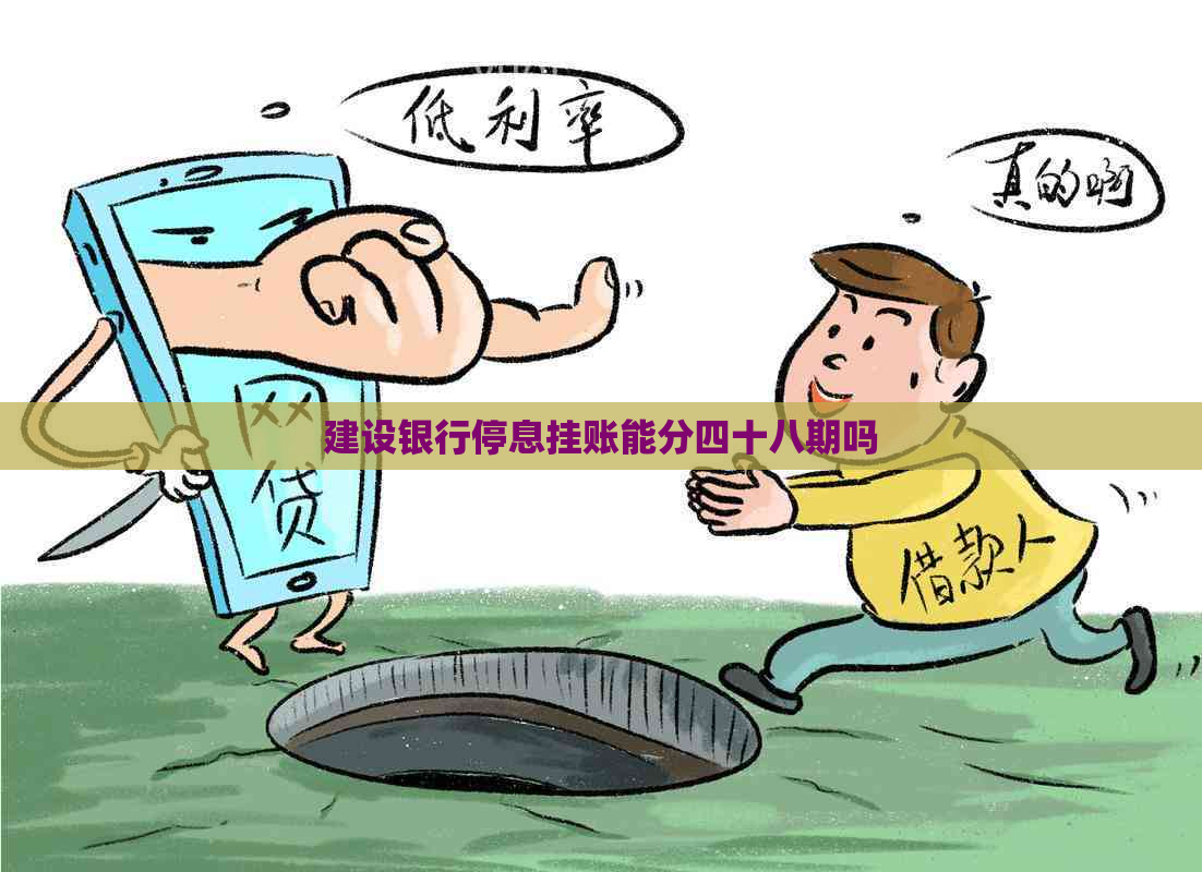 建设银行停息挂账能分四十八期吗