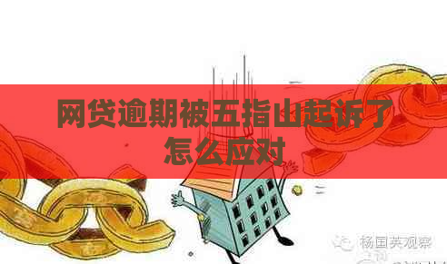 网贷逾期被五指山起诉了怎么应对