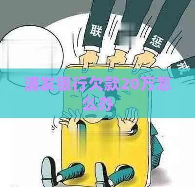 浦发银行欠款20万怎么办