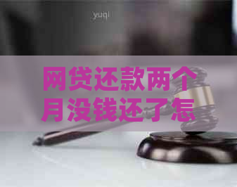 网贷还款两个月没钱还了怎么办