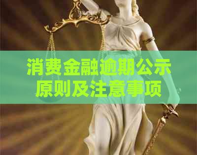 消费金融逾期公示原则及注意事项