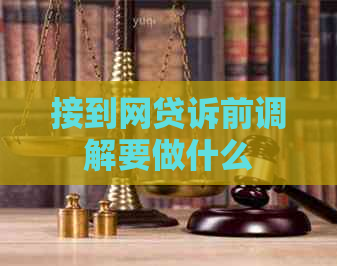 接到网贷诉前调解要做什么