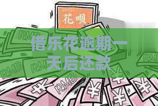 借乐花逾期一天后还款