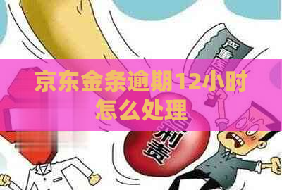 京东金条逾期12小时怎么处理