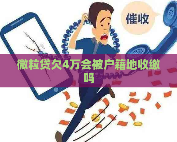 微粒贷欠4万会被户籍地收缴吗