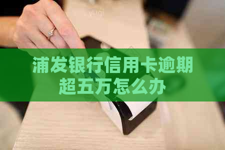 浦发银行信用卡逾期超五万怎么办