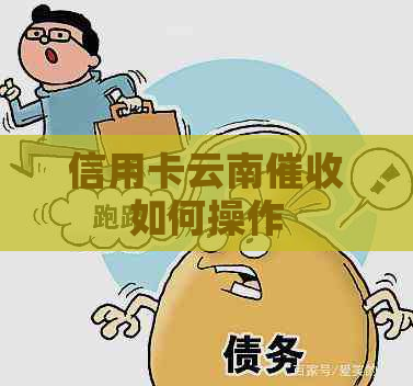 信用卡云南如何操作