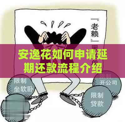 安逸花如何申请延期还款流程介绍