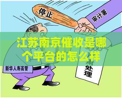 江苏南京是哪个平台的怎么样
