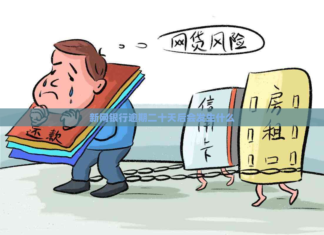 新网银行逾期二十天后会发生什么