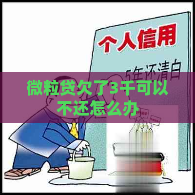 微粒贷欠了3千可以不还怎么办