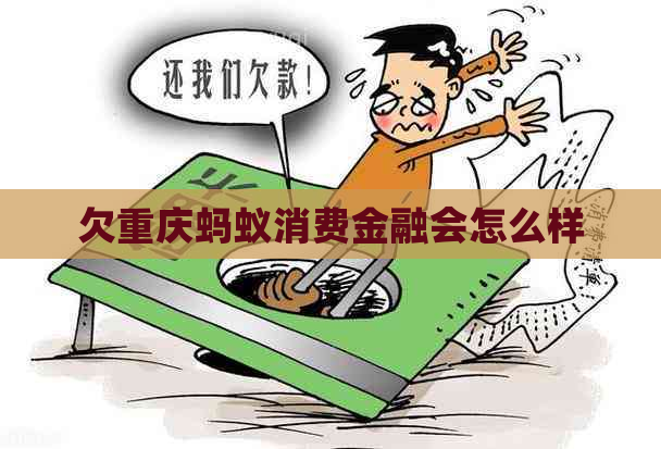 欠重庆蚂蚁消费金融会怎么样