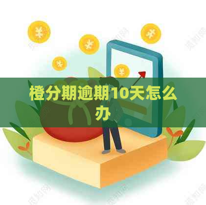 橙分期逾期10天怎么办