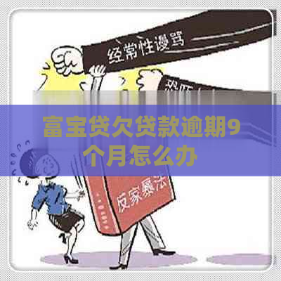富宝贷欠贷款逾期9个月怎么办