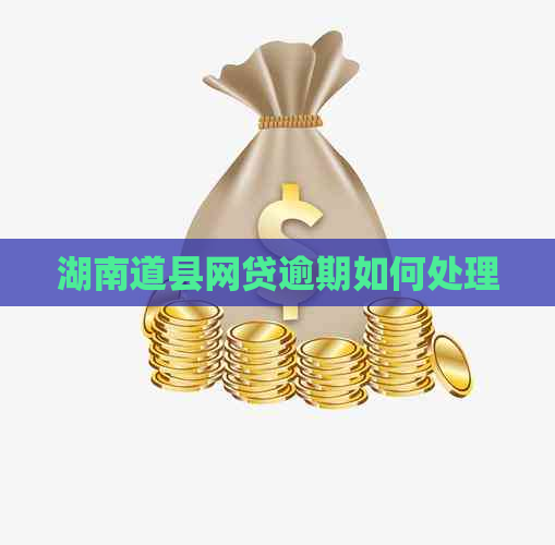 湖南道县网贷逾期如何处理