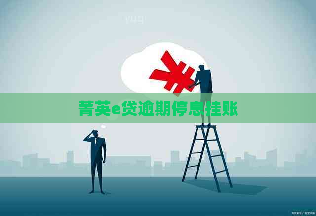 菁英e贷逾期停息挂账