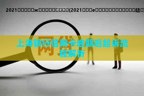 上海银行信用卡逾期后起诉流程解析