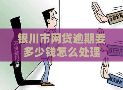 银川市网贷逾期要多少钱怎么处理