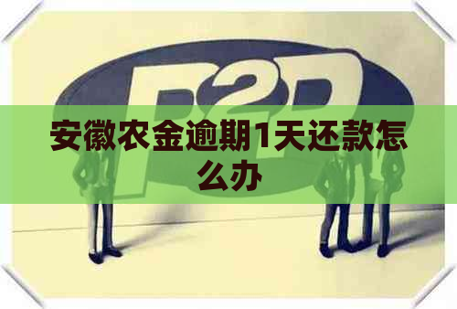 安徽农金逾期1天还款怎么办