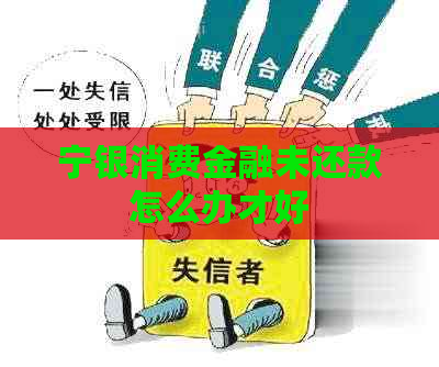 宁银消费金融未还款怎么办才好