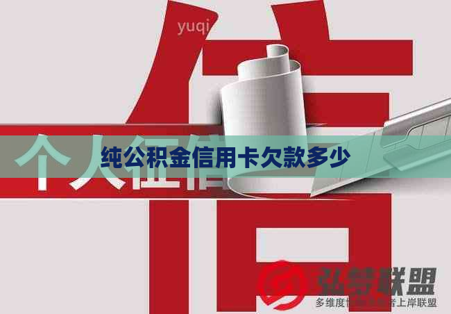 纯公积金信用卡欠款多少