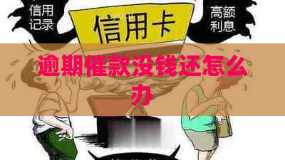 逾期催款没钱还怎么办
