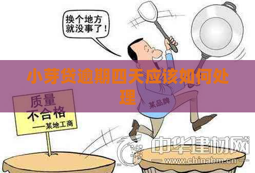 小芽贷逾期四天应该如何处理
