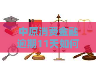 中原消费金融逾期11天如何处理