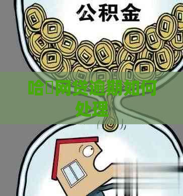 哈啰网贷逾期如何处理