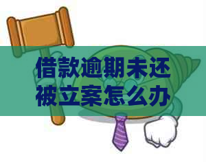 借款逾期未还被立案怎么办
