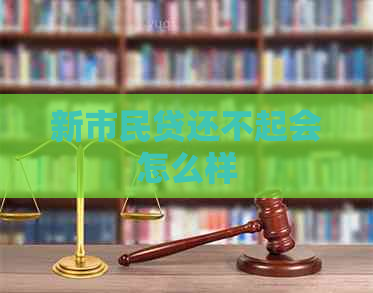 新市民贷还不起会怎么样