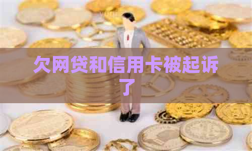 欠网贷和信用卡被起诉了