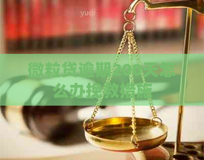 微粒贷逾期200天怎么办挽救措施