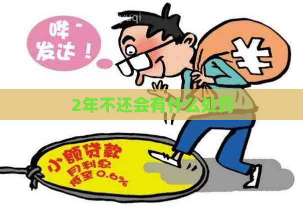 2年不还会有什么处罚