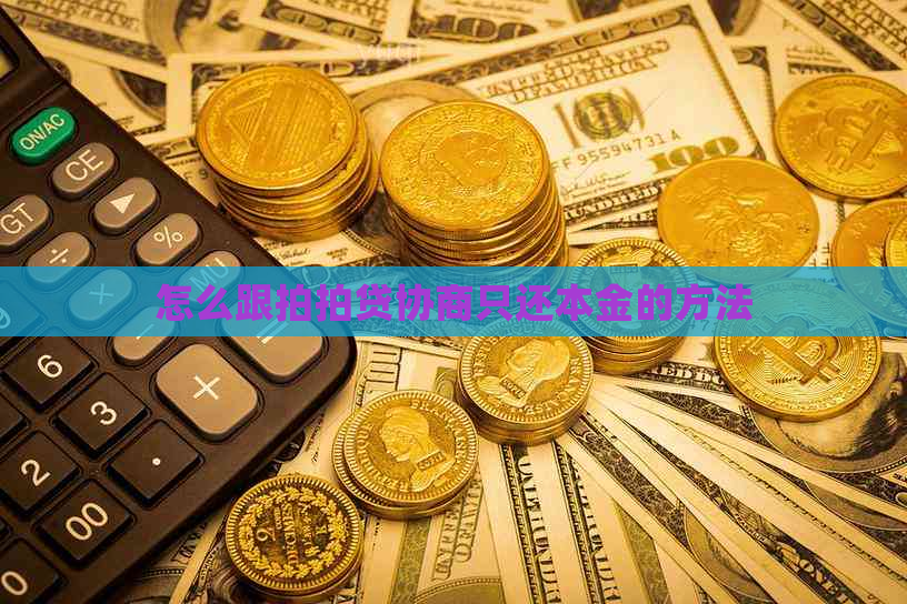 怎么跟协商只还本金的方法
