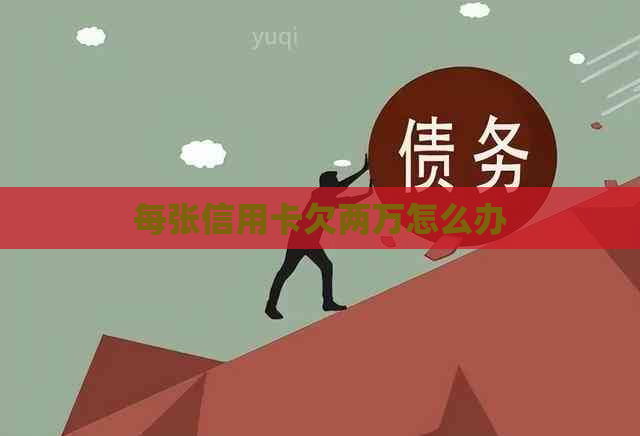 每张信用卡欠两万怎么办