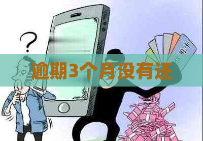 逾期3个月没有还