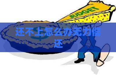 还不上怎么办无力偿还