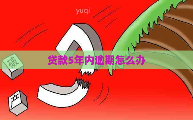 贷款5年内逾期怎么办