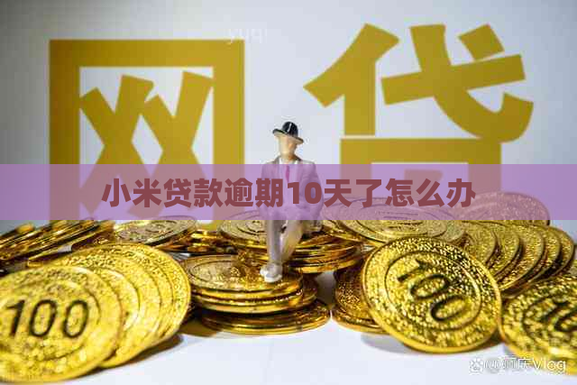 小米贷款逾期10天了怎么办