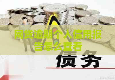 网贷逾期个人信用报告怎么查看
