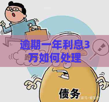 逾期一年利息3万如何处理
