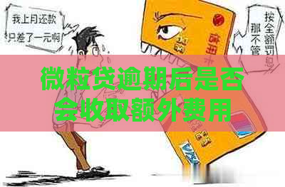 微粒贷逾期后是否会收取额外费用
