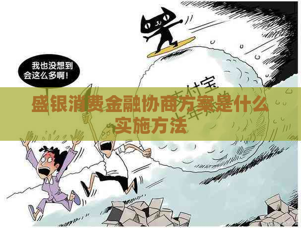 盛银消费金融协商方案是什么实施方法