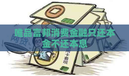 唯品富邦消费金融只还本金不还本息